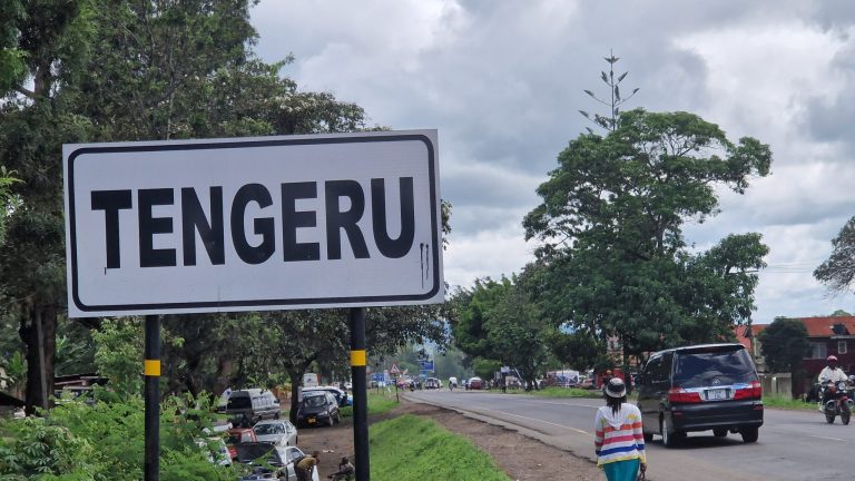 tengeru afryka polacy